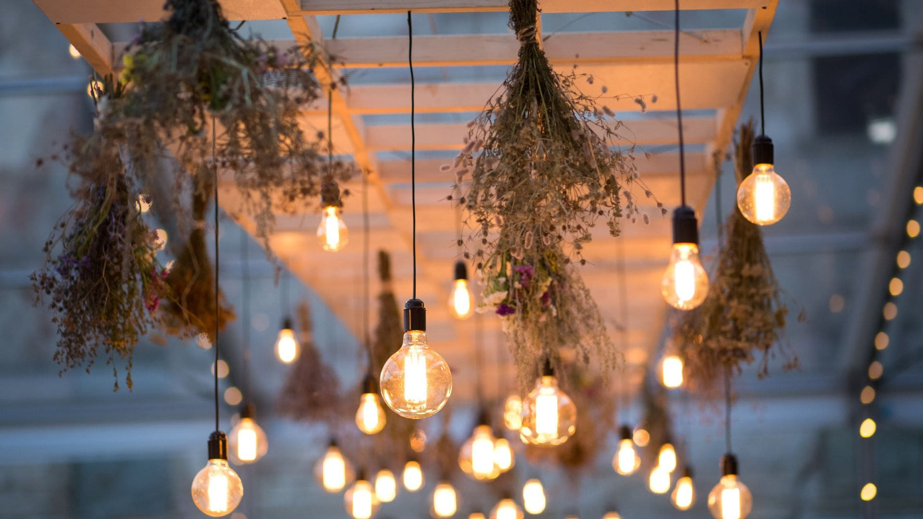 Hanging Edison-style string lights with dried floral décor under a pergola, creating a warm and inviting outdoor ambiance