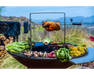 Arteflame Rotisserie Kit roasting whole chicken on spit over Arteflame Grill with fresh vegetables in outdoor desert setting