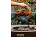 Arteflame Rotisserie Kit with golden rotisserie chicken on spit over open wood fire in Arteflame Corten Steel Grill