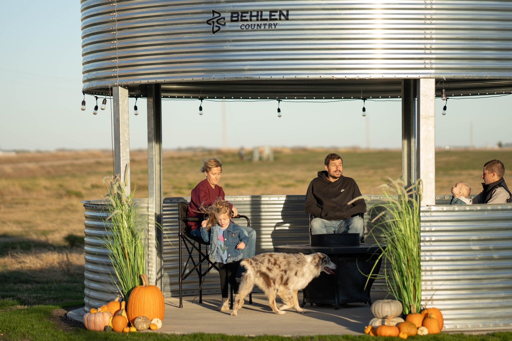 Behlen Country BinVista 15.5 ft Galvanized Steel Grain Bin Gazebo