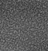 Linear Cabo Silver Vein Swatch