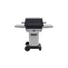 PGS Grills A Series 26" Gas Grill - Black