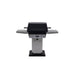 PGS Grills T40 Grill with 1-Hour Gas Timer (Commercial) - Black
