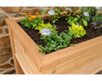 Yard Craft Premium 32'x 46' Elevated Garden Planter: Plant & Harvest